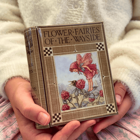 Flower Fairies of the Wayside Book Tin