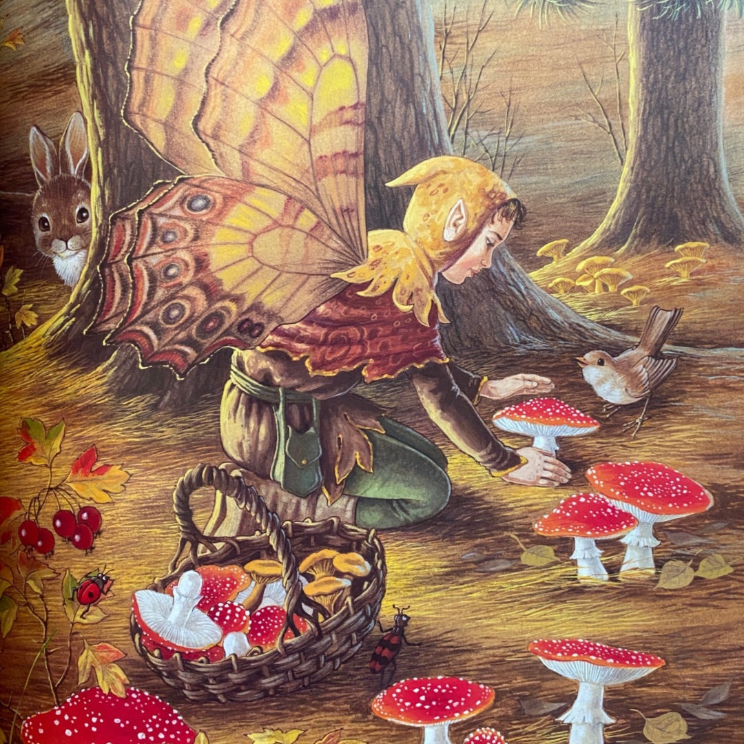 a male fairy with butterfly wings and an elf like cap. Picks red capped mushrooms he is being watched by a small bird and a rabbit. The image is in autumn tones. A visit to fairyland by Shirley barber