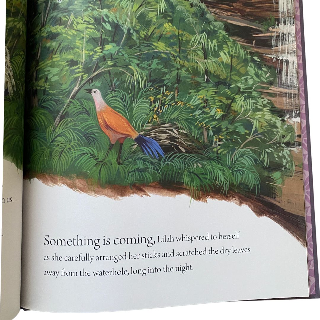 Lilah the Lyrebird by Jodie McLeod, illustrated by Eloise Short
