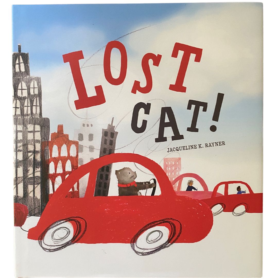 Lost Cat by Jacqueline Rayner