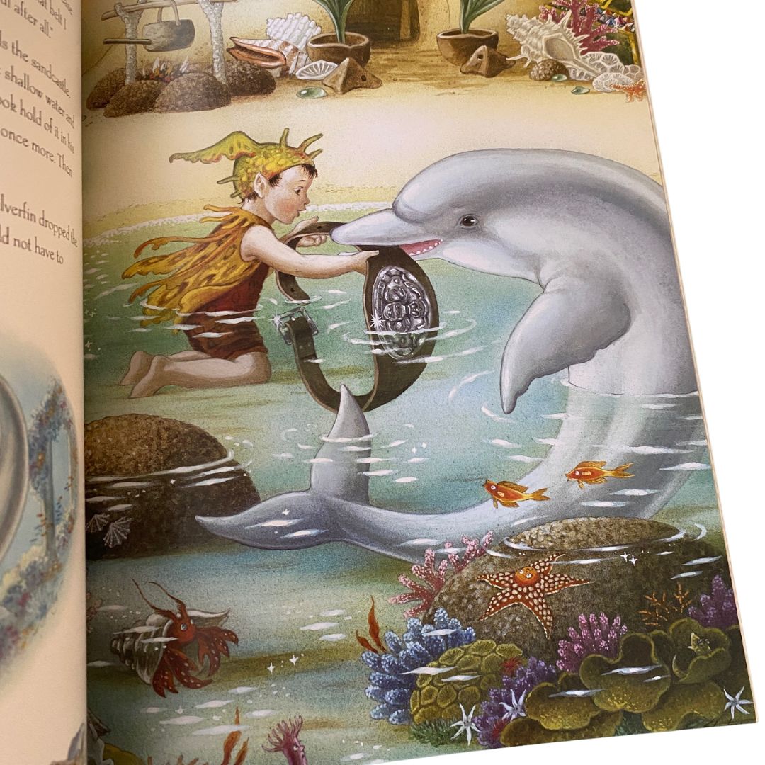 a young boy is at the shore and a dolphin gives him a large belt with a silver medallion in the middle from the mermaid princess and the trouble at the palace by shirley barber with 