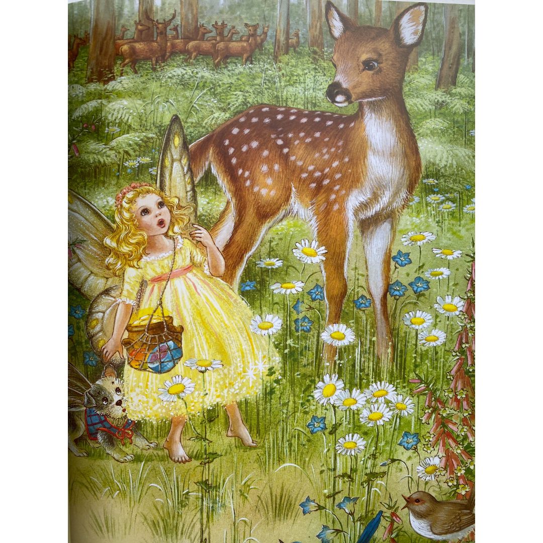 Picture of a young fairy and her fairy dog in a meadow with a fawn. Picture from Shirley Barber's Rainbow Magic