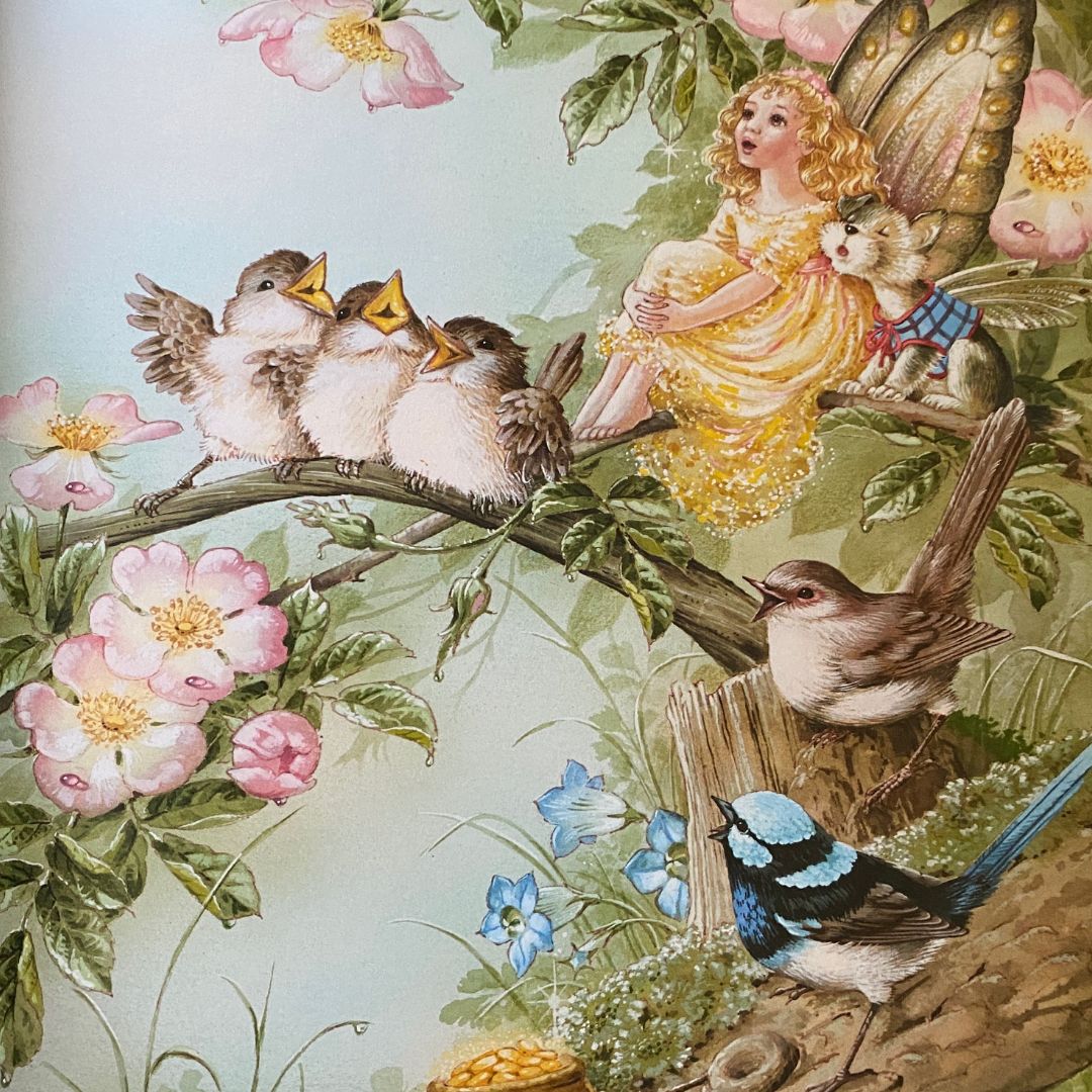 a young girl fairy and her fairy dog are sitting on a tree branch singing with baby birds and a fairy wren. Shirley barbers rainbow magic