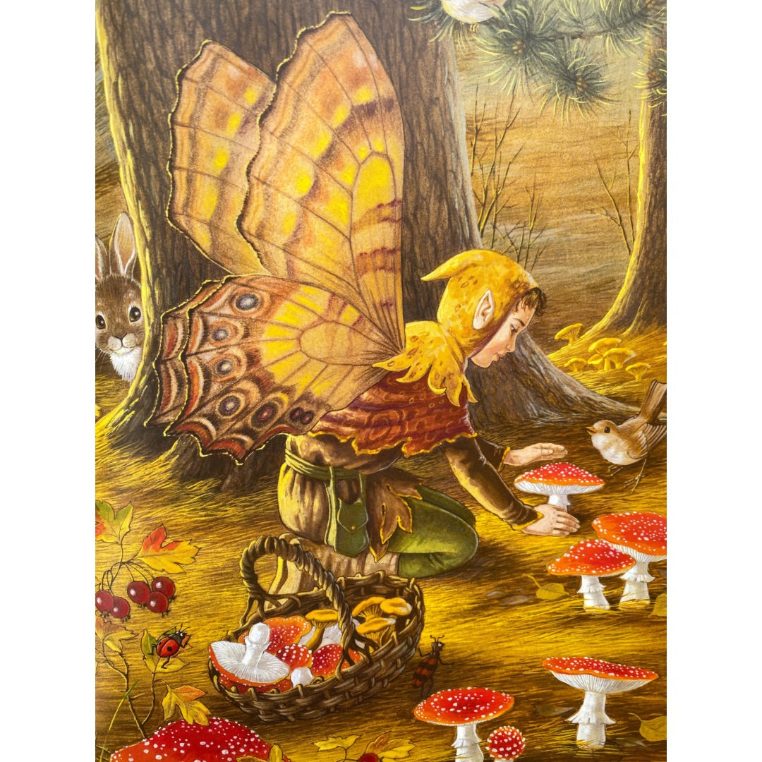 a small fairy with autumn coloured butterfly wings is planing red toadstools he is being watched by a rabbit and a bird from a visit to fairyland by Shirley BArber