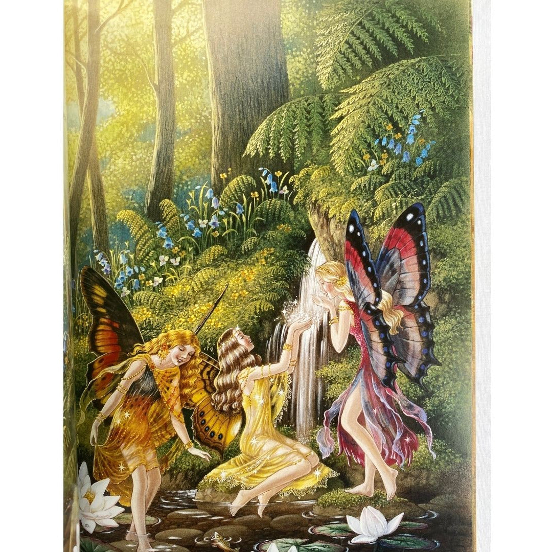 Image of a visit to fairyland by shirley barber. Three fairies with jewel like butterfly wings drink from a small waterfall