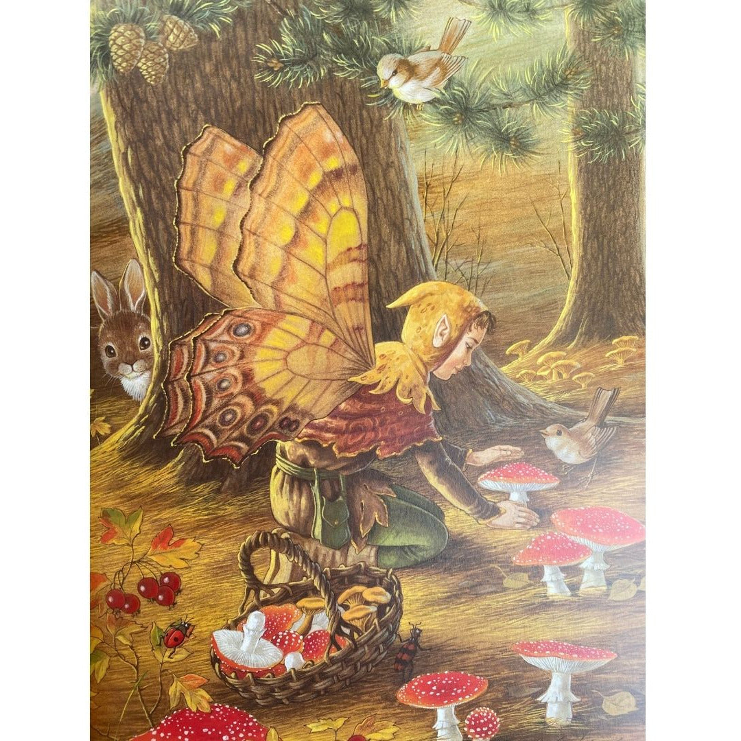 a fairy planting toadstools in a visit to fairyland by shirley barber