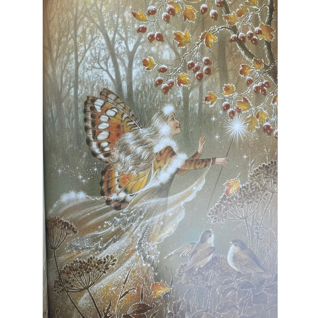 frost fairy in a visit to fairyland by shirley barber
